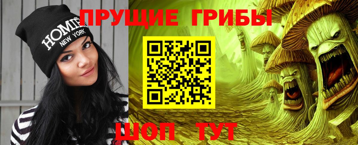 Галлюциногенные грибы прущие грибы Сунжа